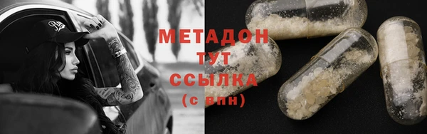 прущие грибы Алексеевка