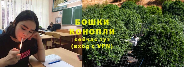 прущие грибы Алексеевка