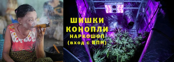 apvp Алзамай