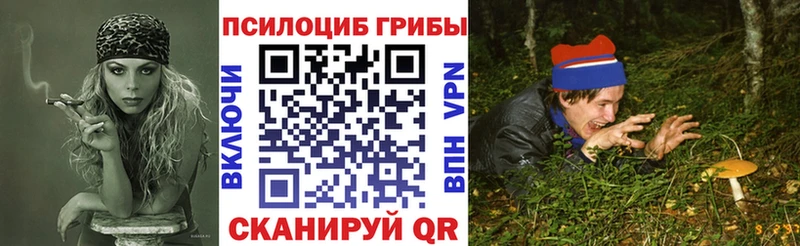 где купить наркоту ссылка на мегу сайт Псилоцибиновые грибы Cubensis Балахна